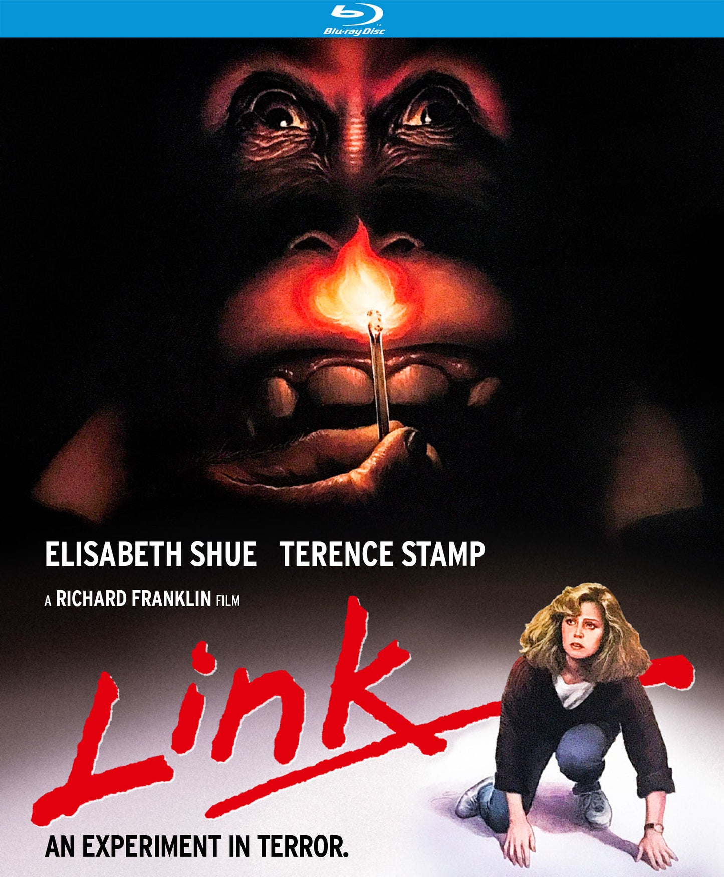 Link [Blu-ray] cover art