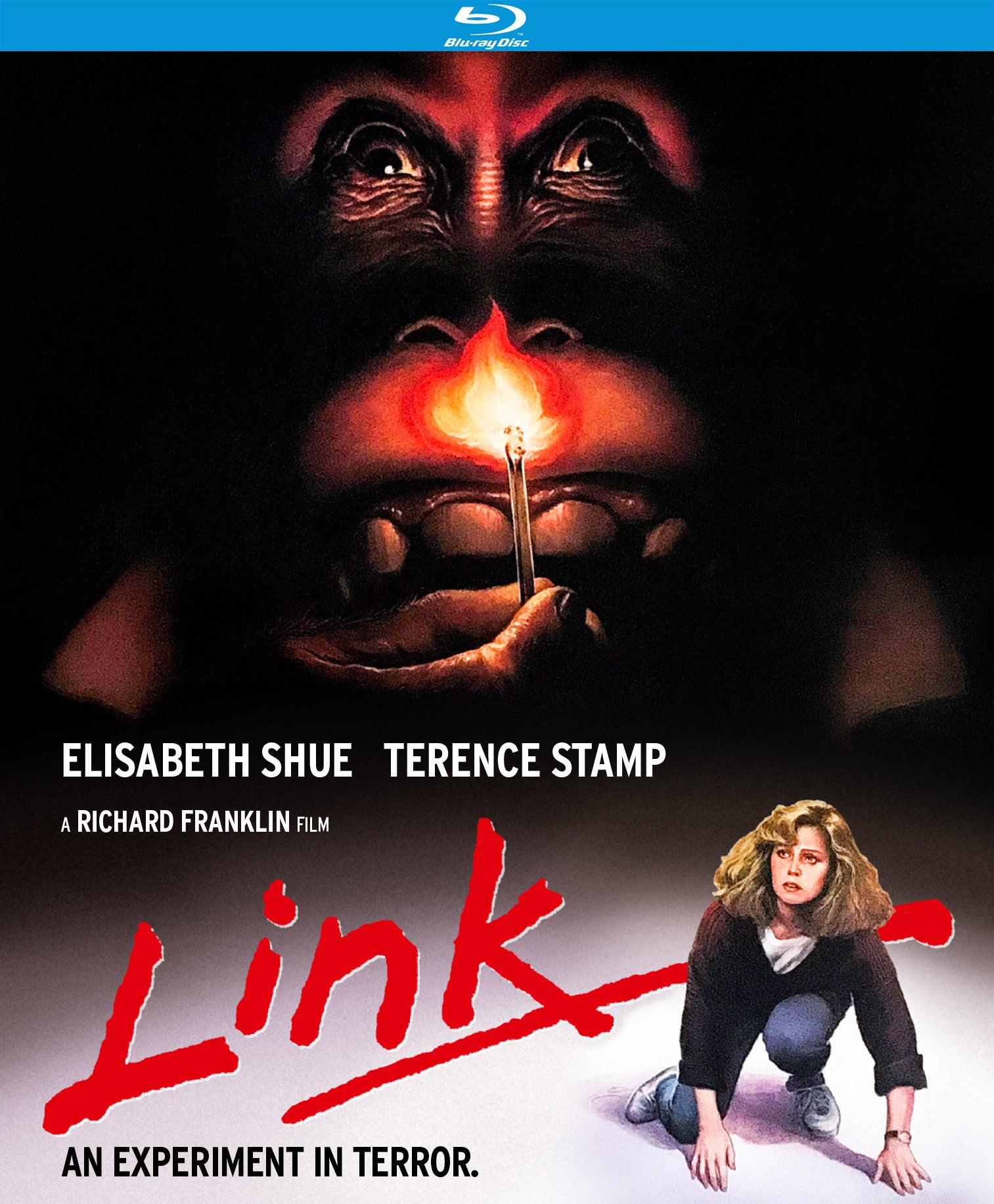 Link [Blu-ray] cover art