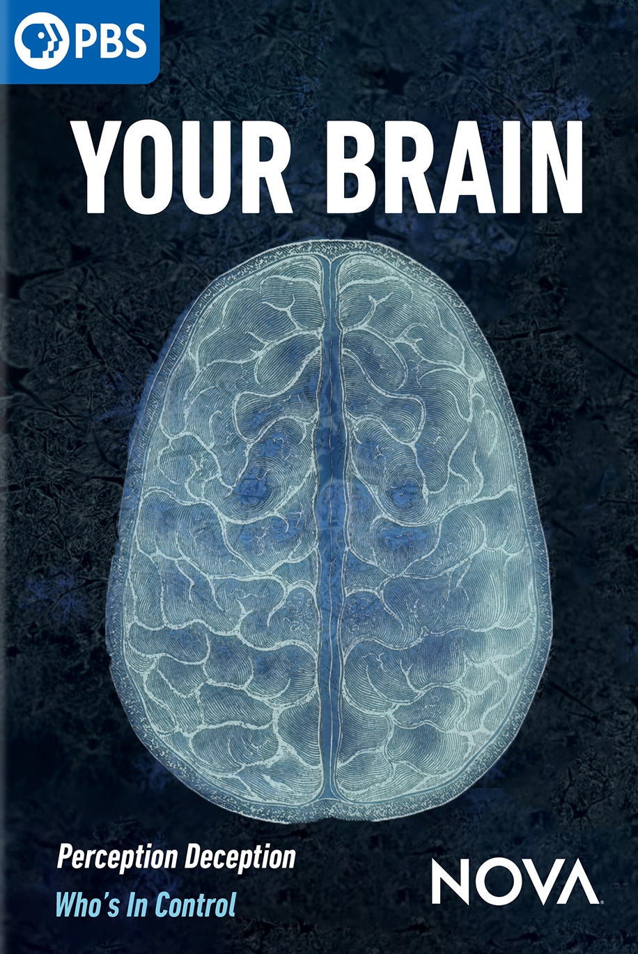 NOVA: Your Brain cover art
