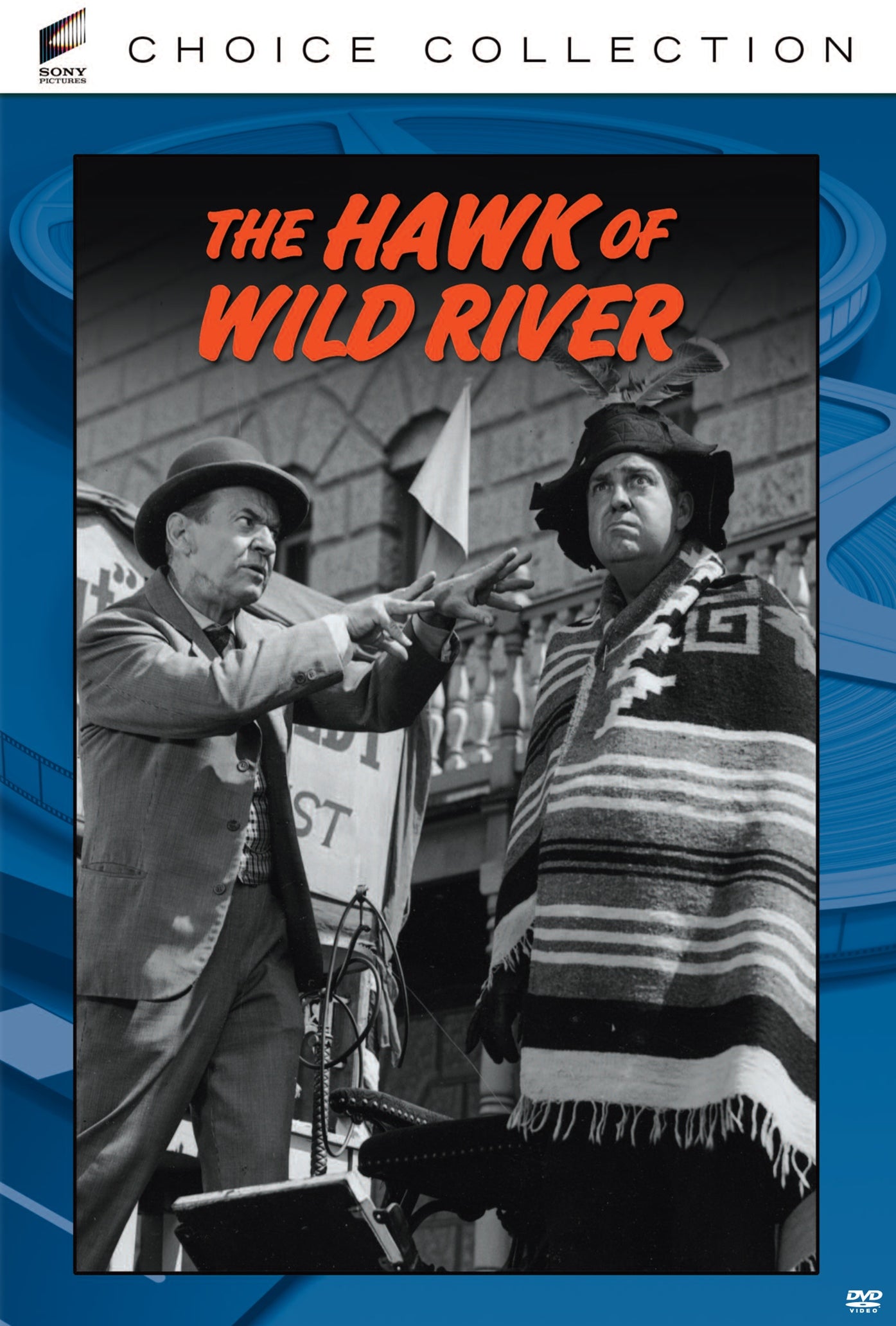 Hawk of Wild River cover art