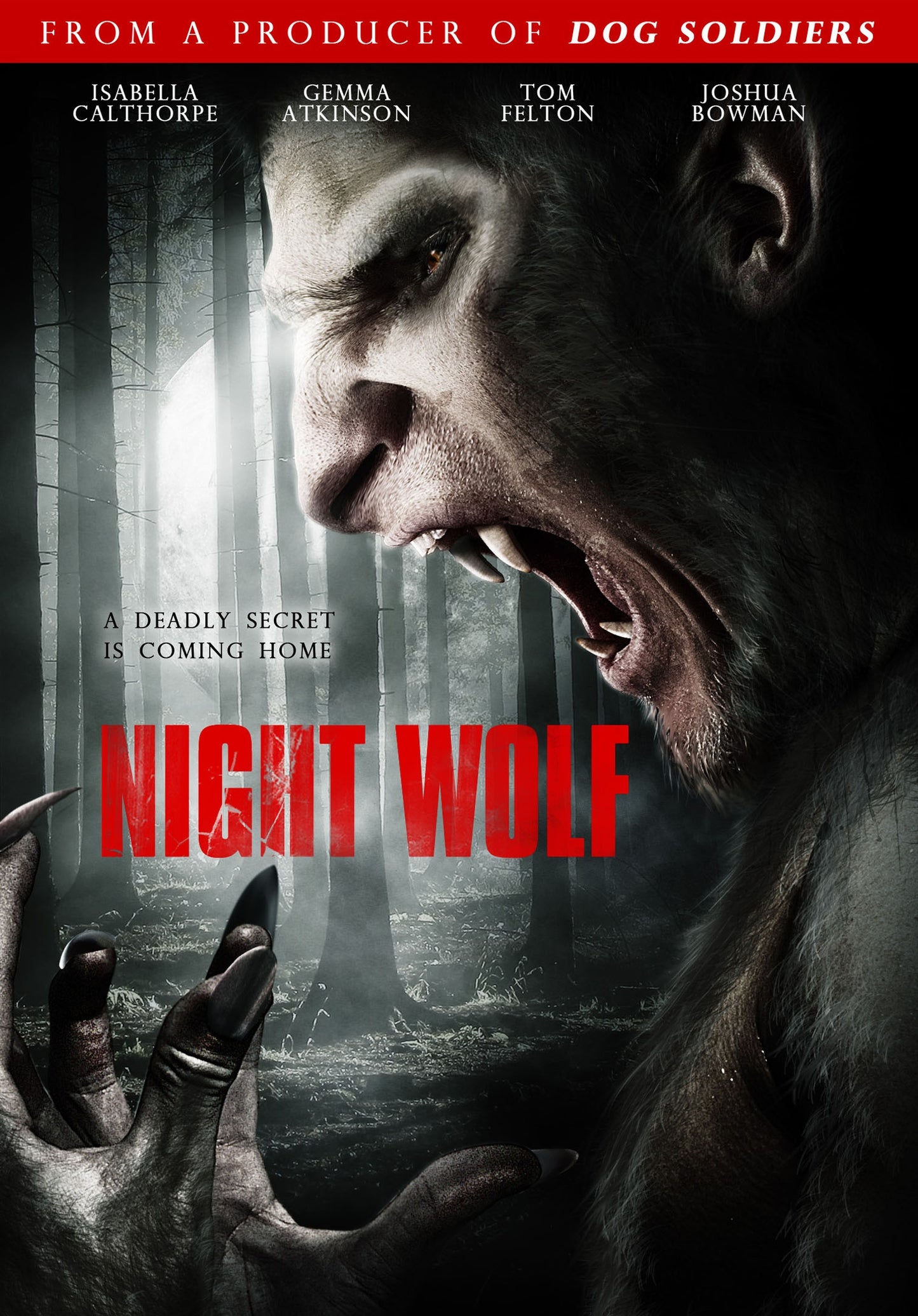 Night Wolf cover art