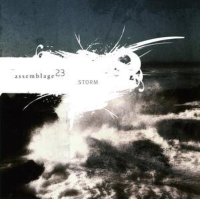 Storm cover art