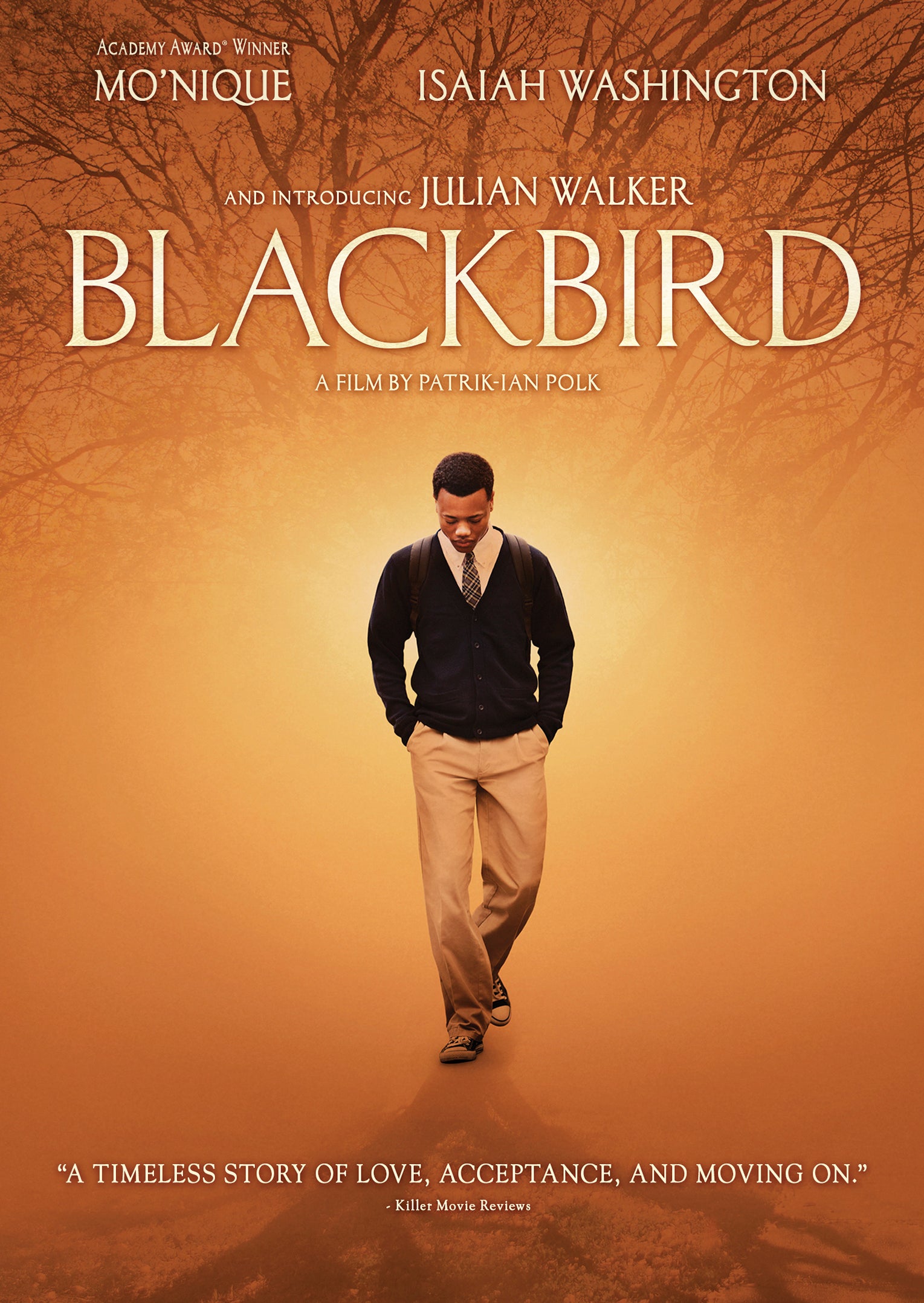 Blackbird cover art