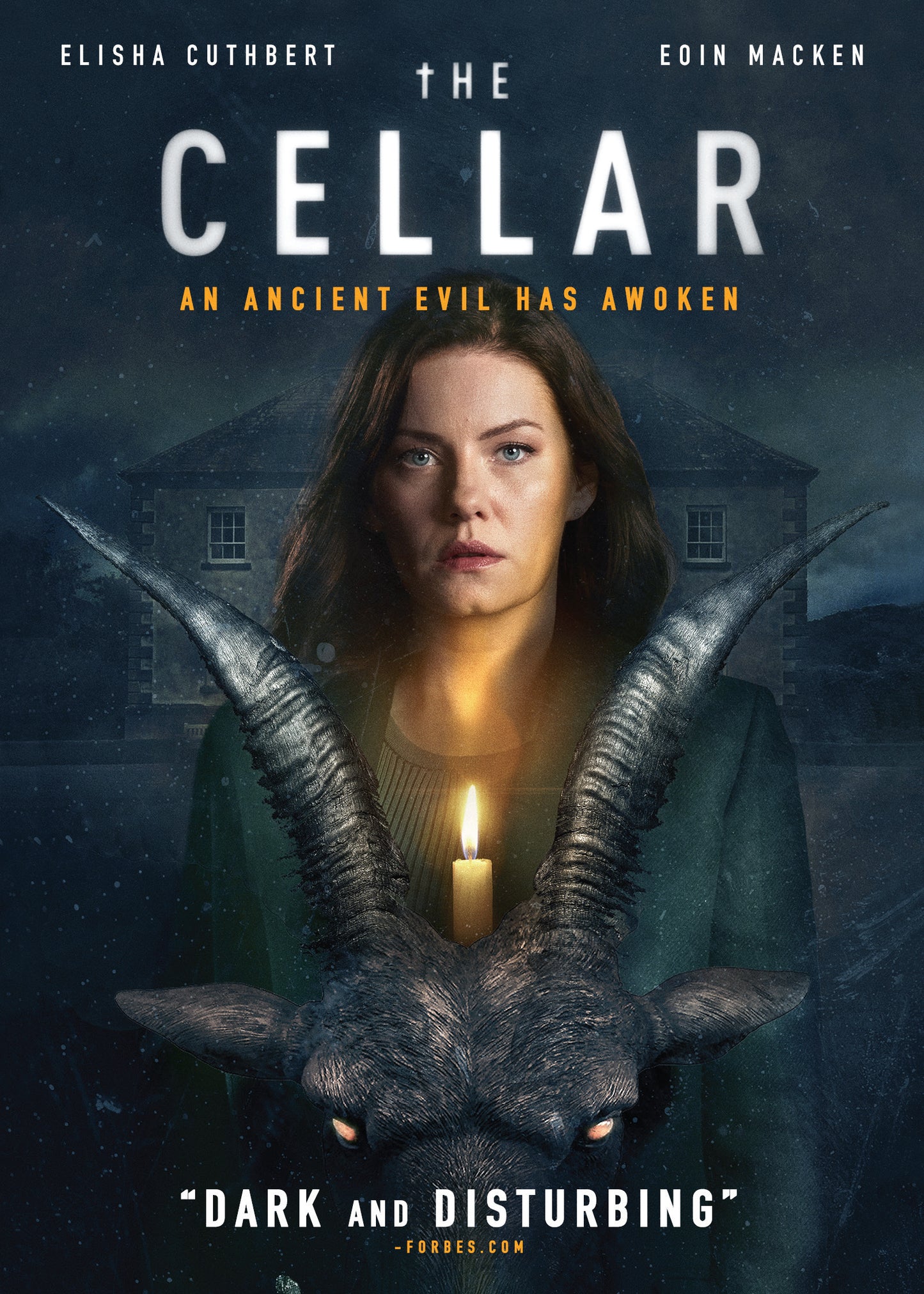 Cellar cover art