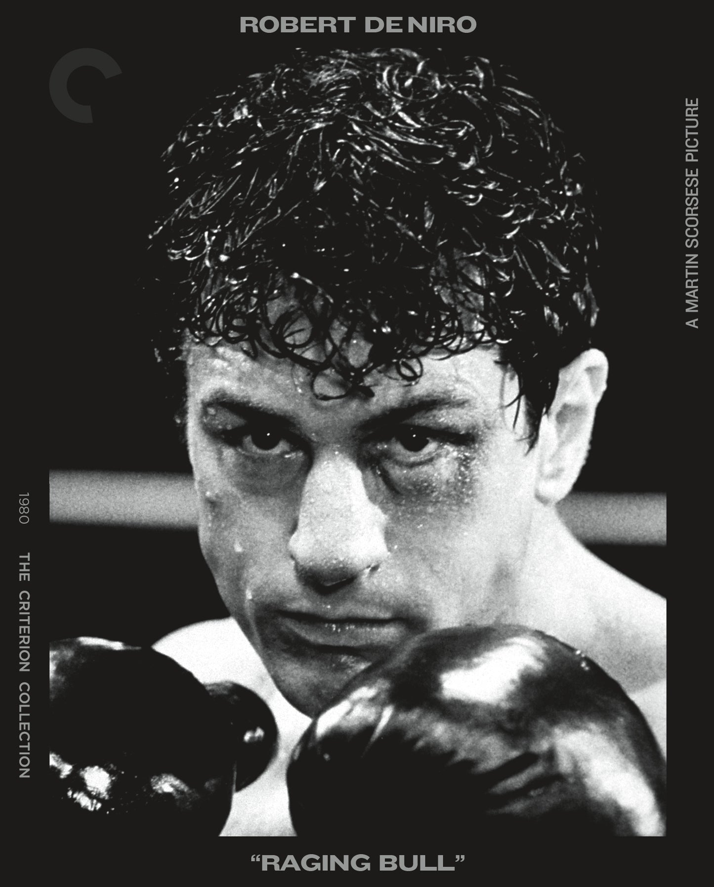 Raging Bull [Criterion Collection] [Blu-ray] cover art