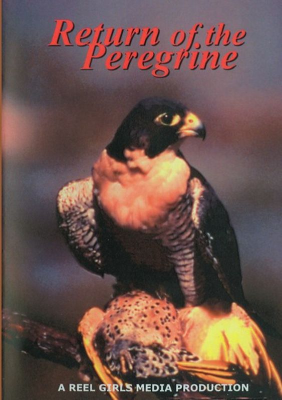 Return of the Peregrine cover art