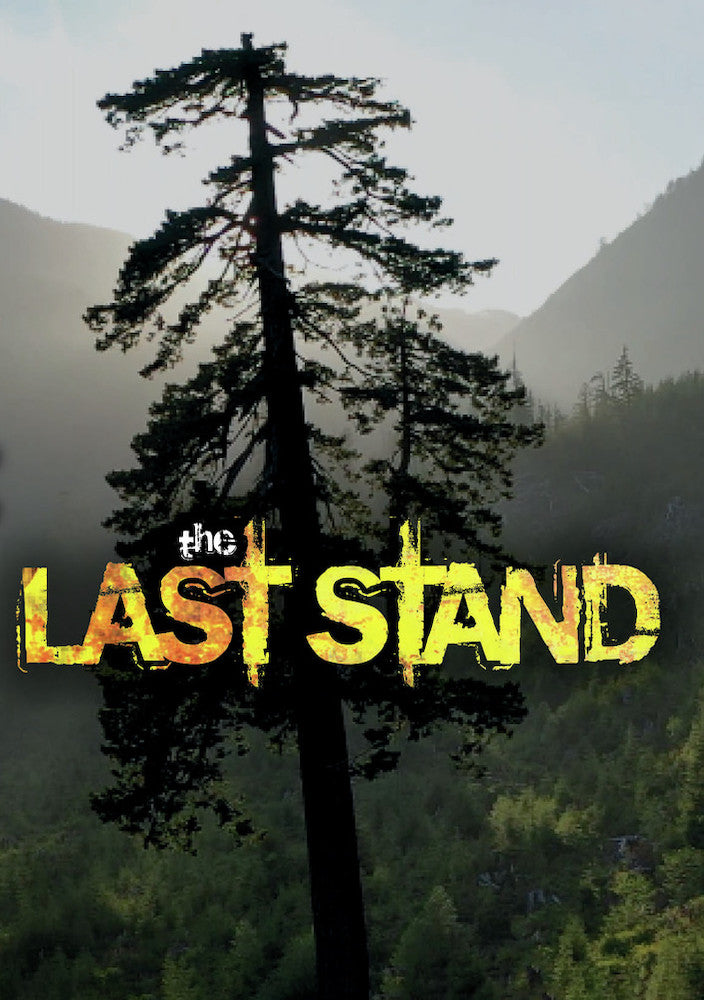 Last Stand cover art