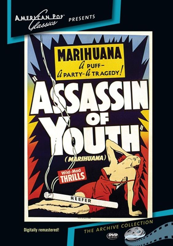 Assassin of Youth cover art