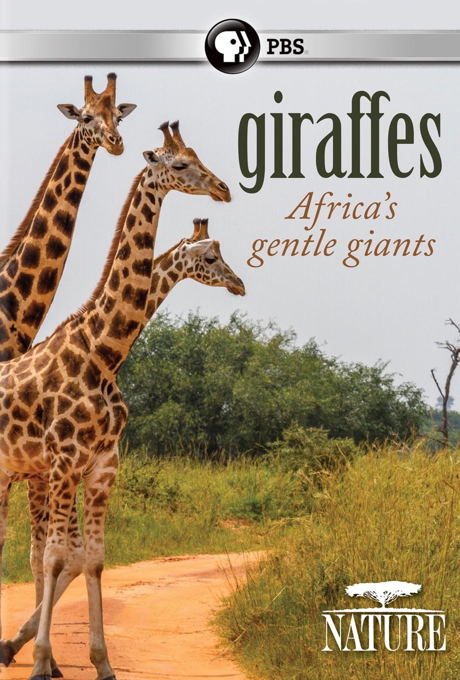 Nature: Giraffes - Africa's Gentle Giants cover art