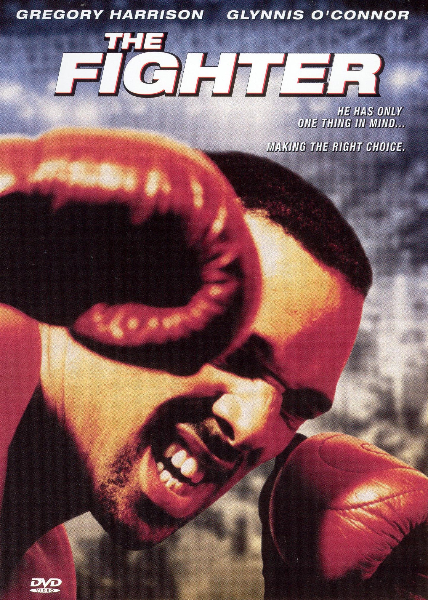 Fighter cover art