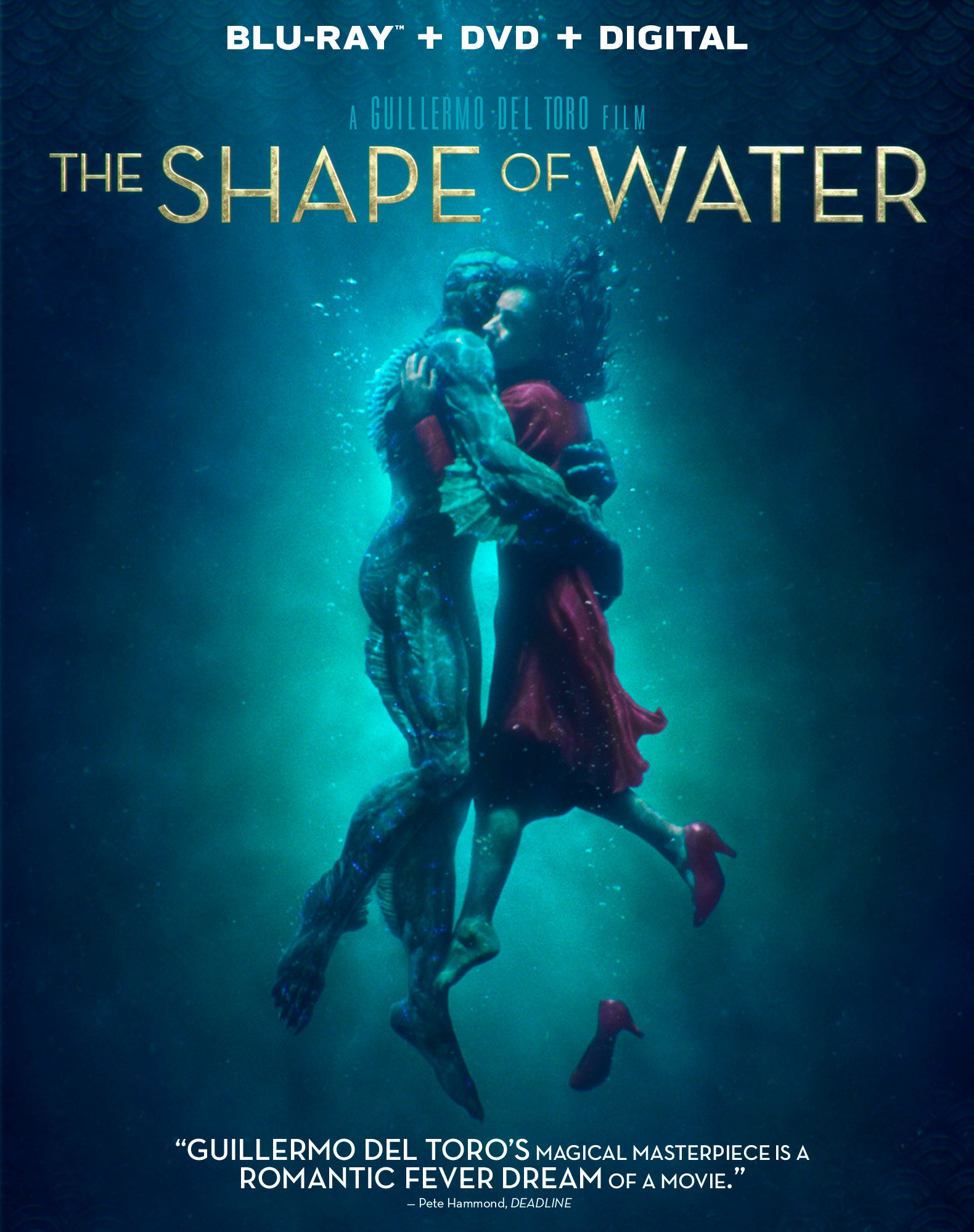Shape of Water [Includes Digital Copy] [Blu-ray/DVD] cover art