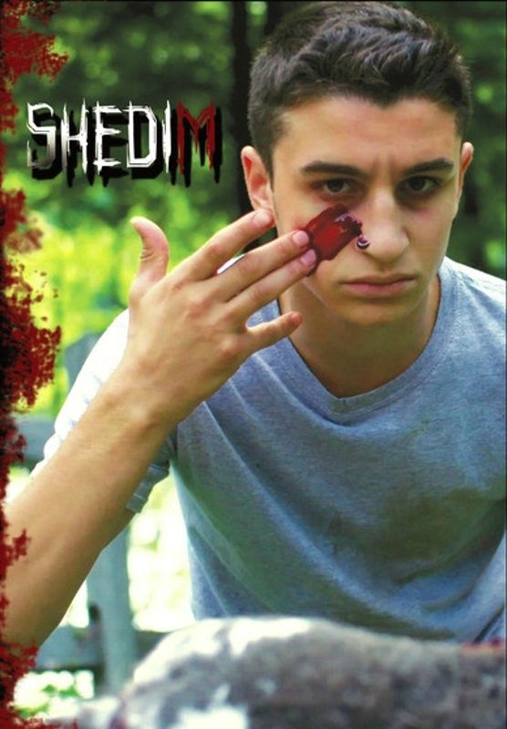 Shedim cover art