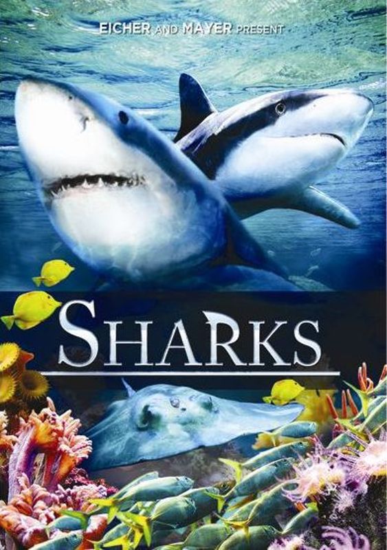 Sharks cover art