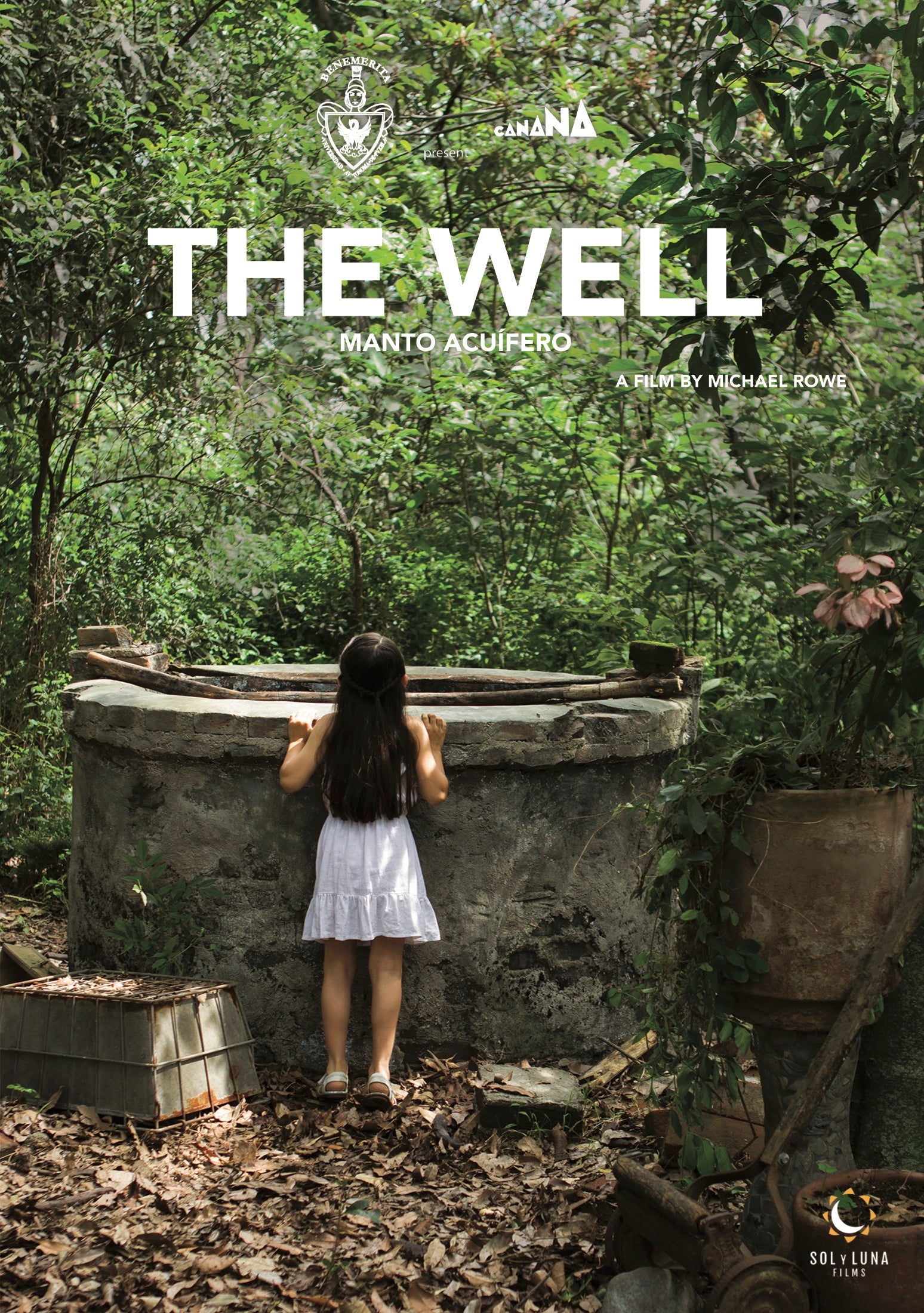 Well cover art