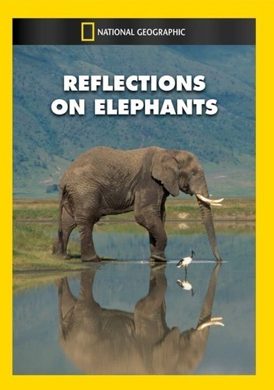 Reflections on Elephants cover art
