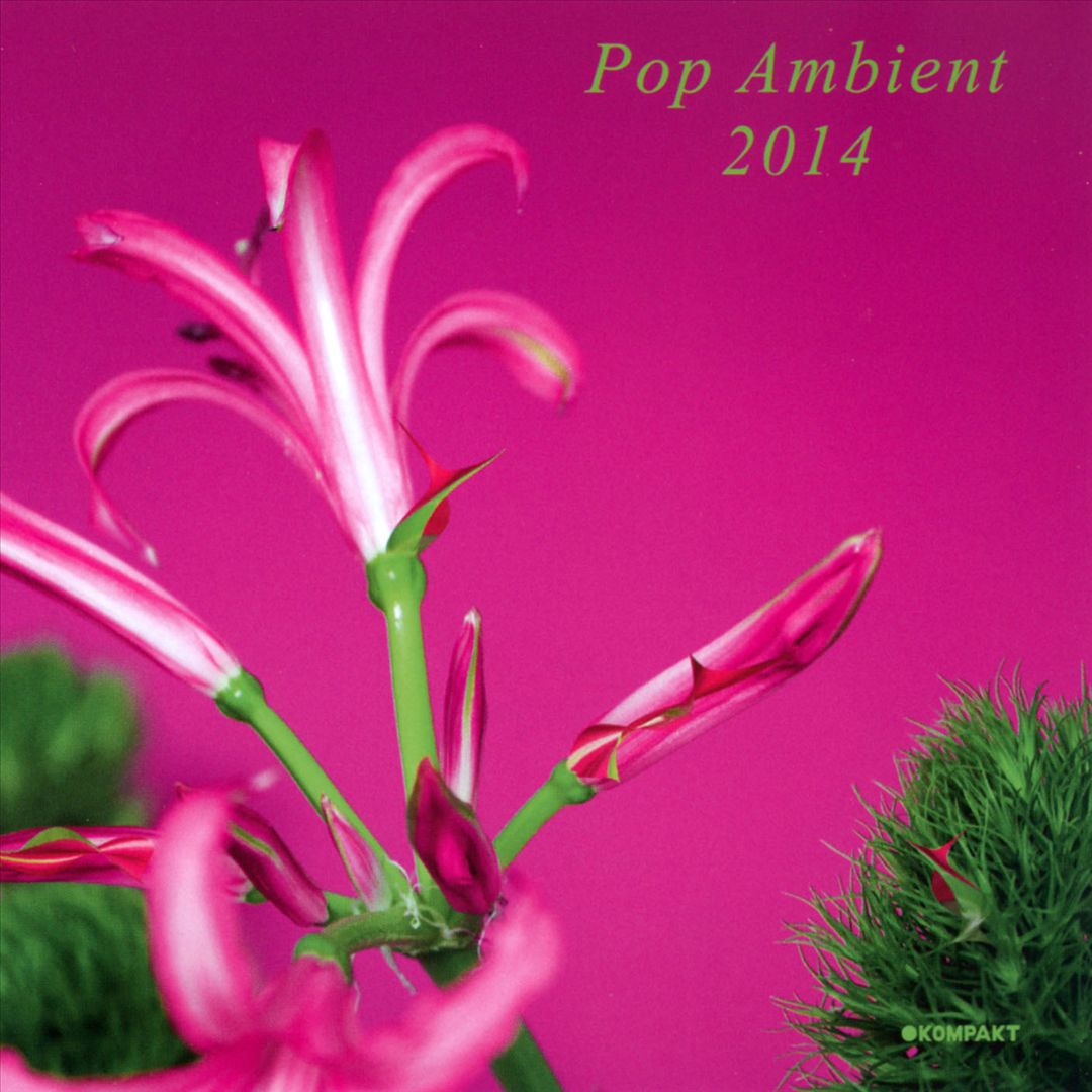 Pop Ambient 2014 cover art