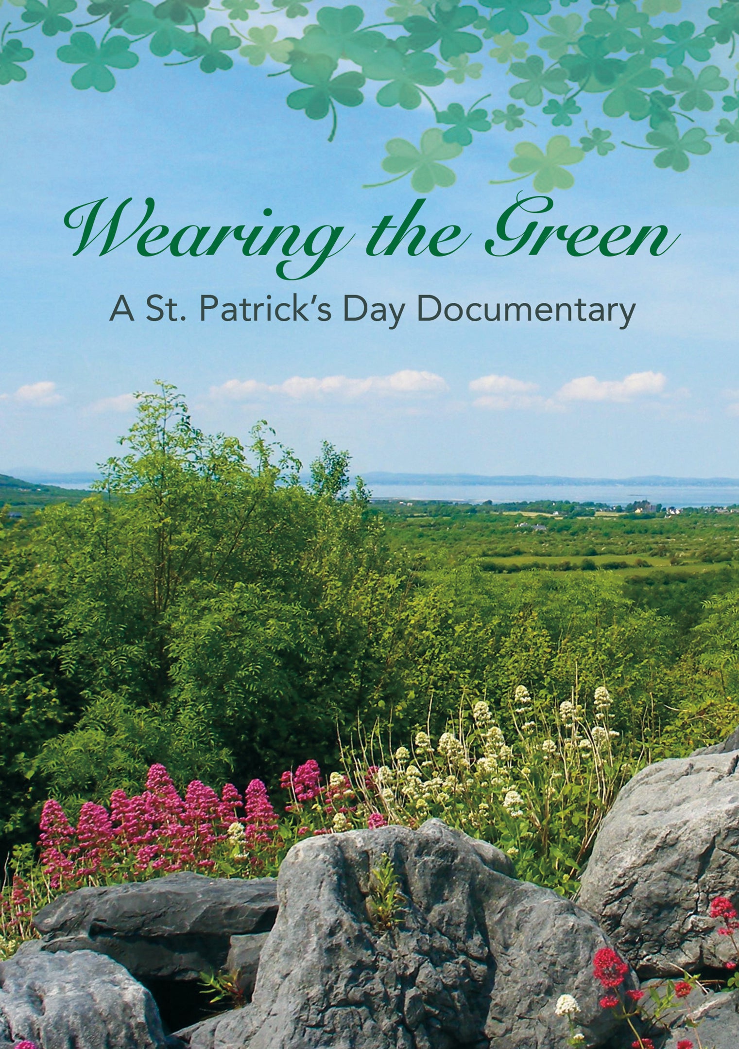 Wearing The Green: A Documentary On St. Patrick'S Day cover art