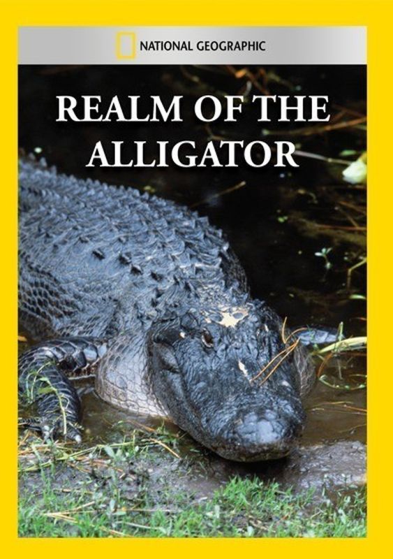 National Geographic: Realm of the Alligator cover art