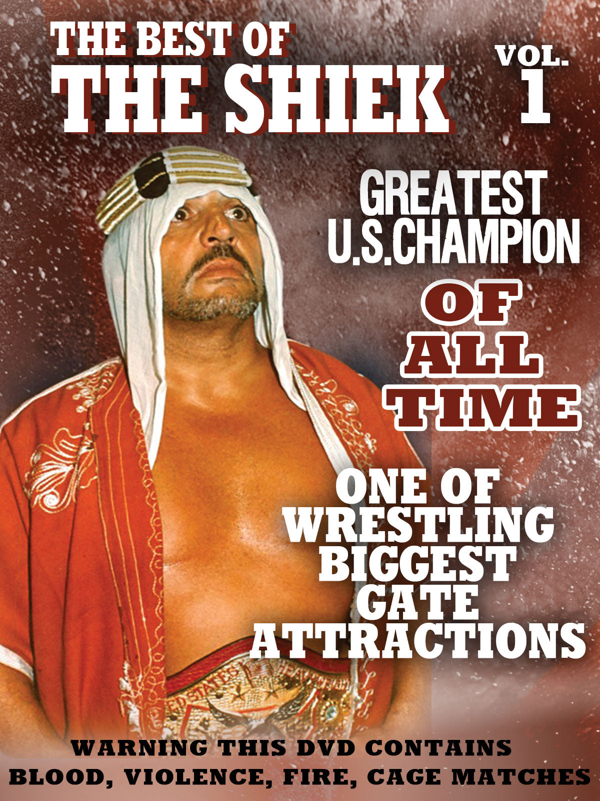 Best of The Shiek: Vol. 1 cover art