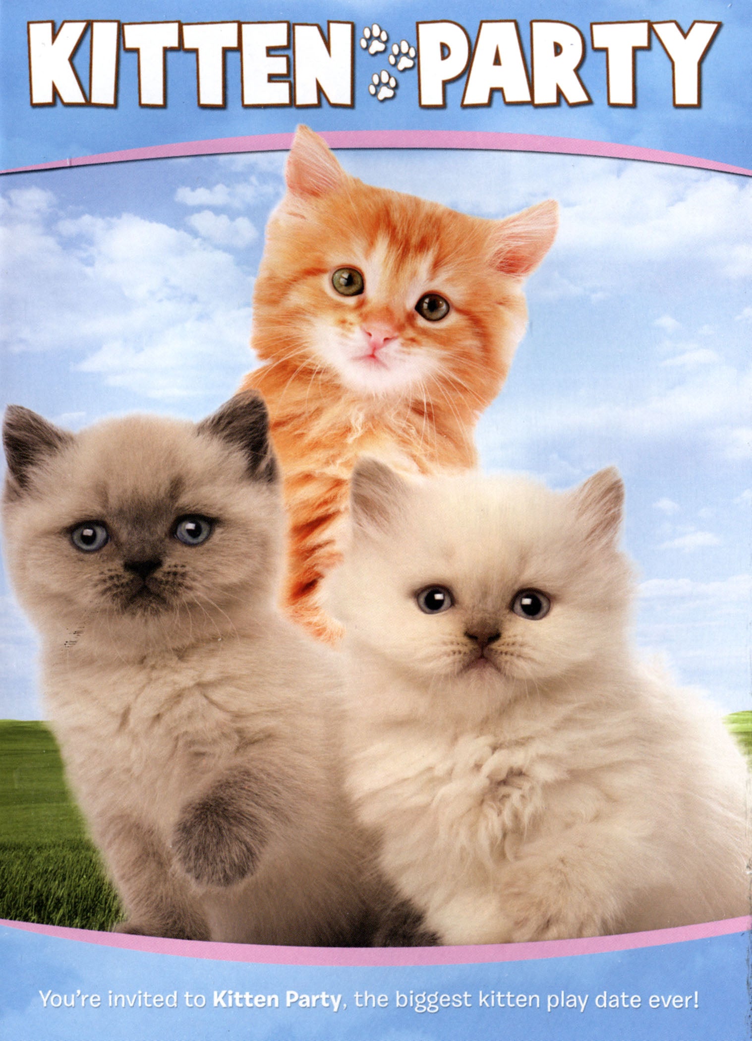 Kitten Party [With Puzzle] cover art