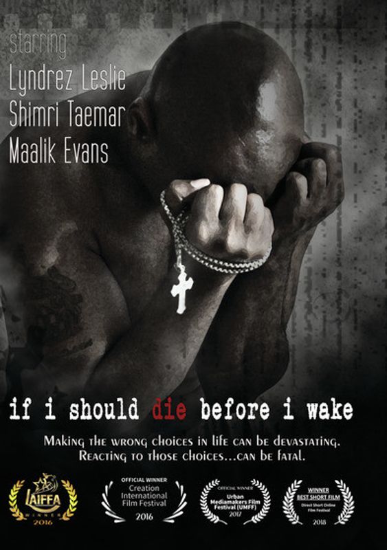 If I Should Die Before I Wake cover art
