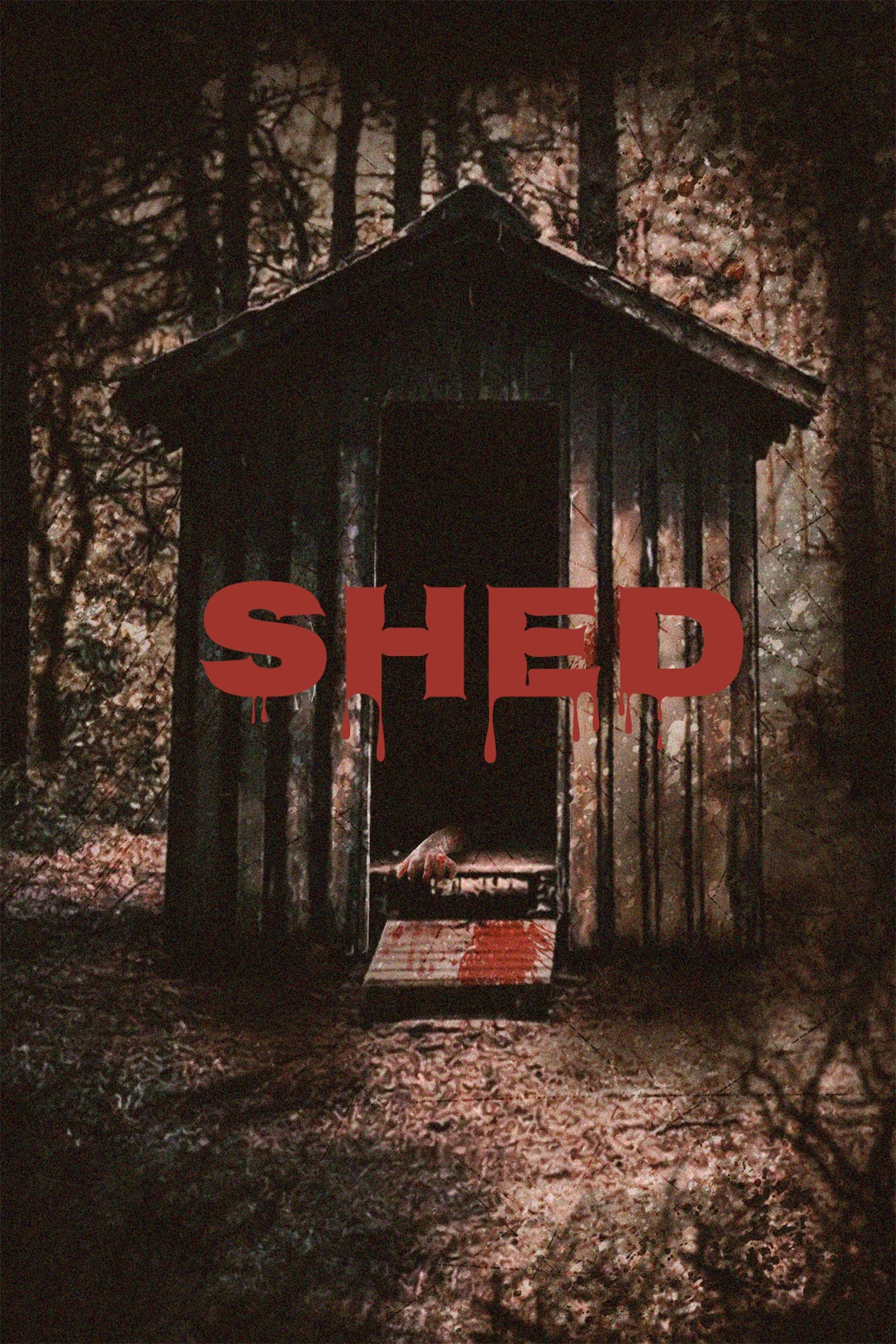 Shed cover art