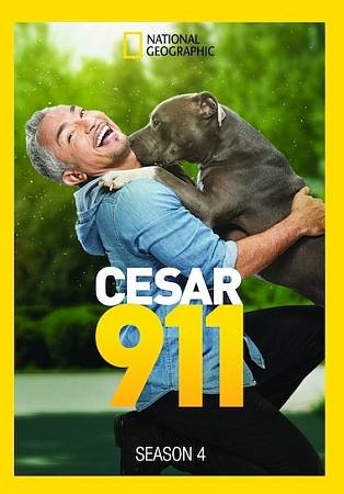 Cesar 911: Season 4 cover art