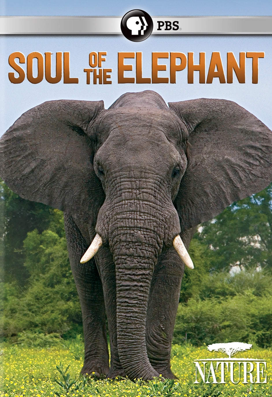 Nature: Soul of the Elephant cover art