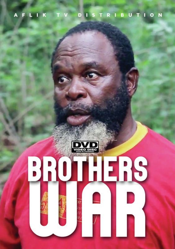 Brothers War cover art
