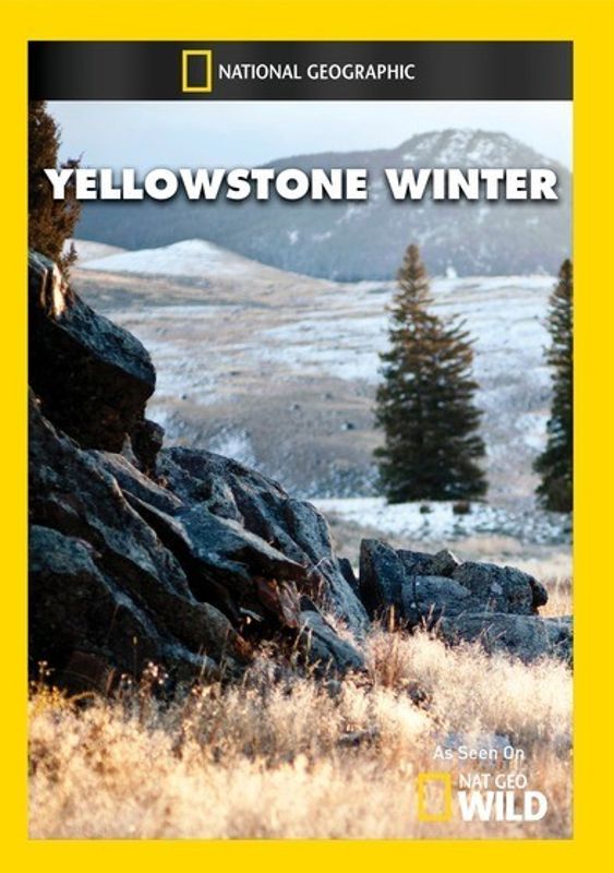 Yellowstone Winter cover art