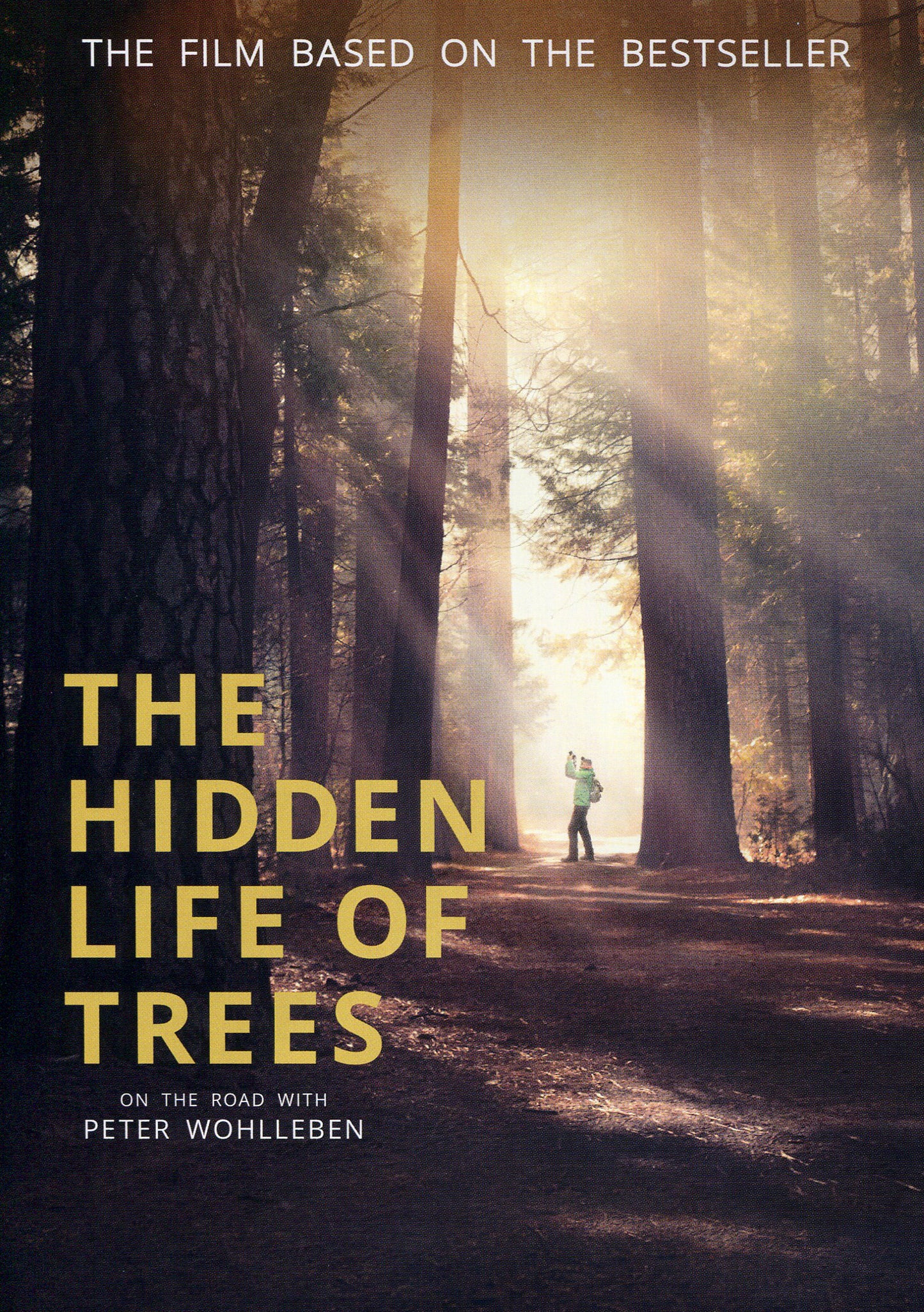 Hidden Life of Trees cover art