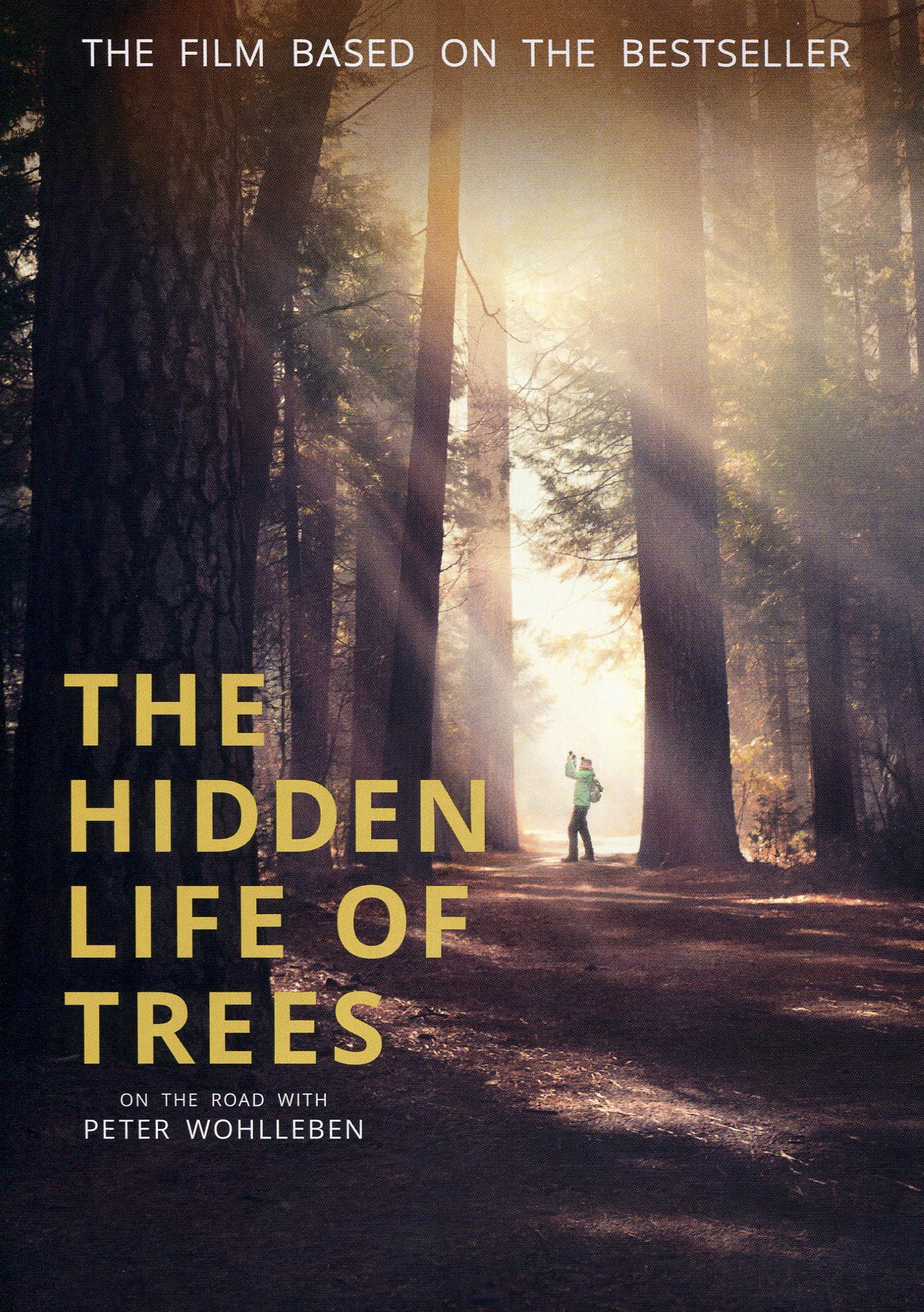 Hidden Life of Trees cover art
