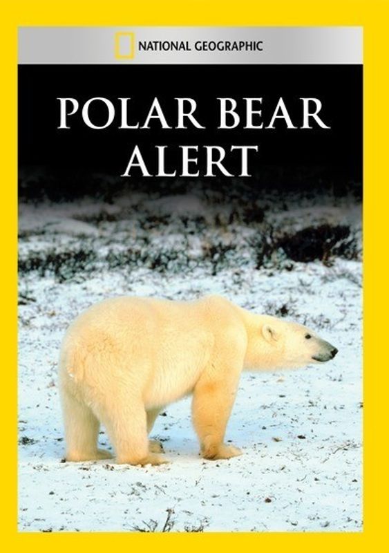 National Geographic: Polar Bear Alert cover art