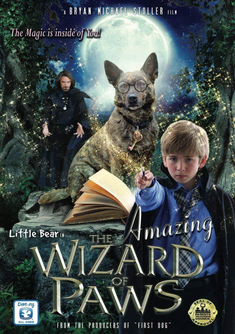 Amazing Wizard of Paws cover art