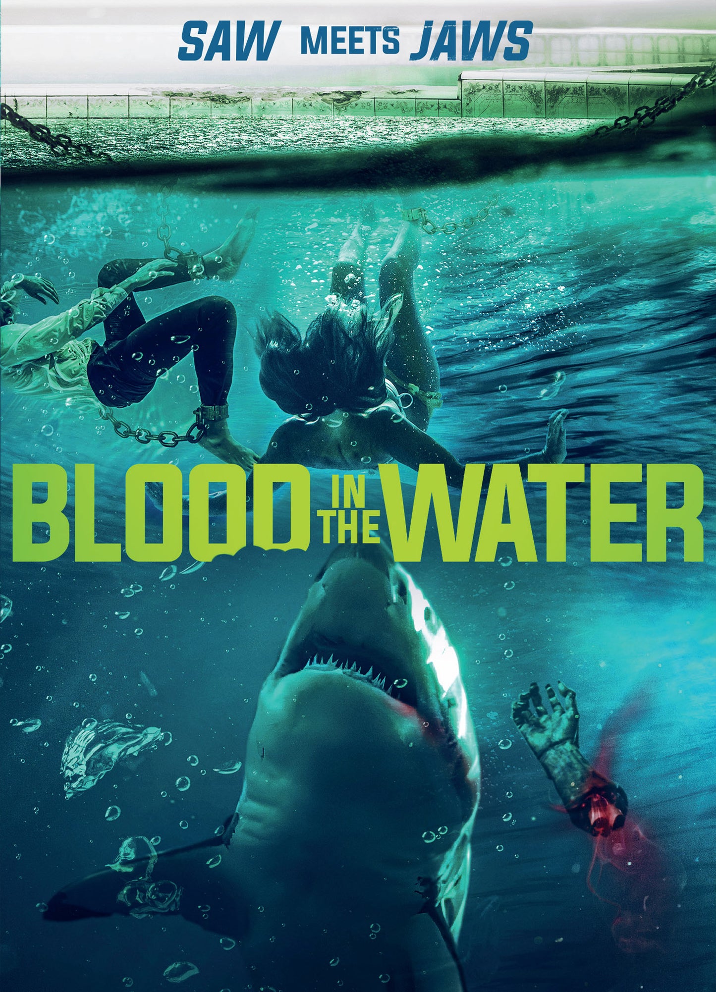 Blood in the Water cover art