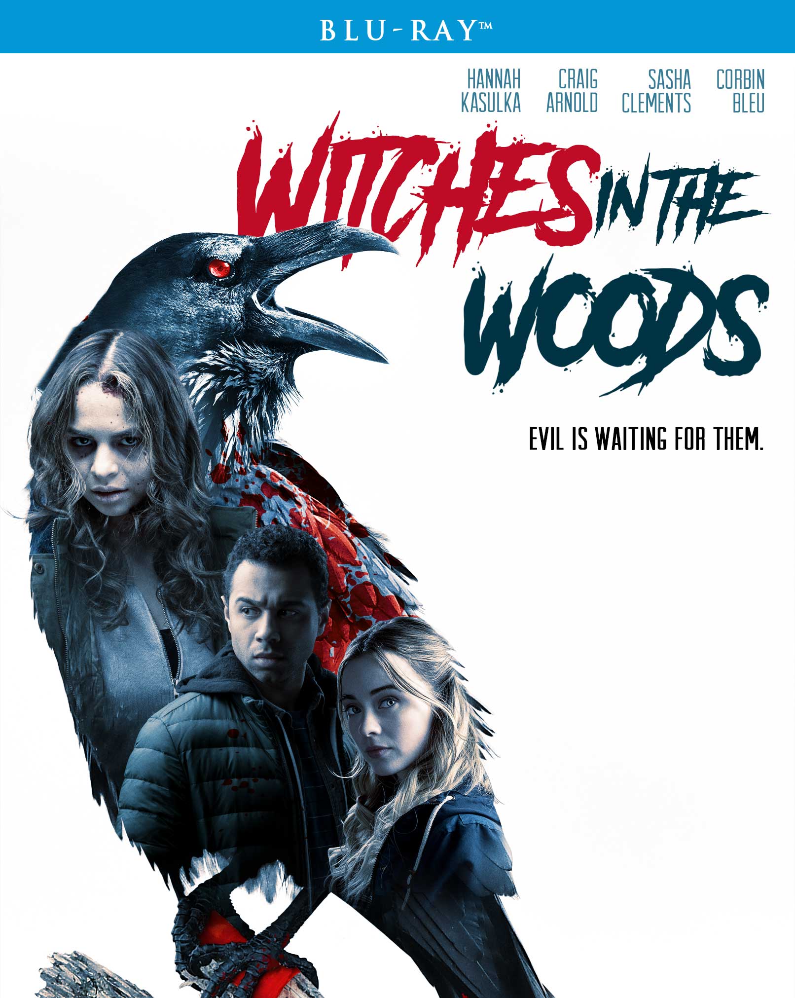 Witches in the Woods [Blu-ray] cover art