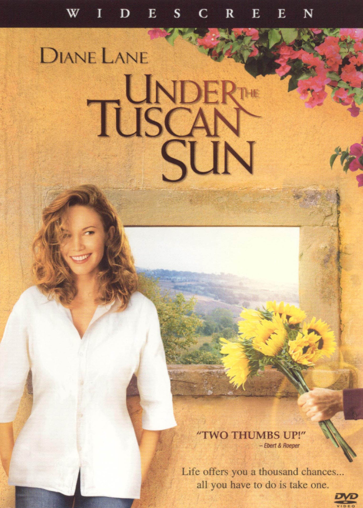 Under the Tuscan Sun [WS] cover art