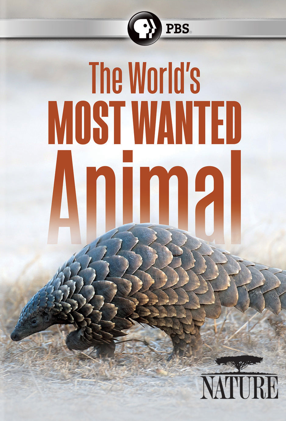 Nature: The World's Most Wanted Animal cover art