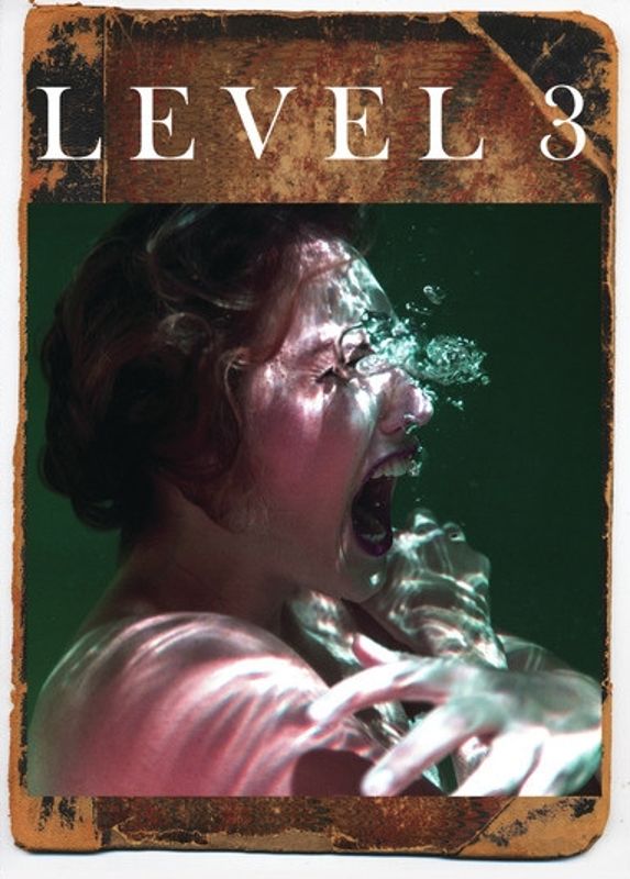 Level 3 cover art