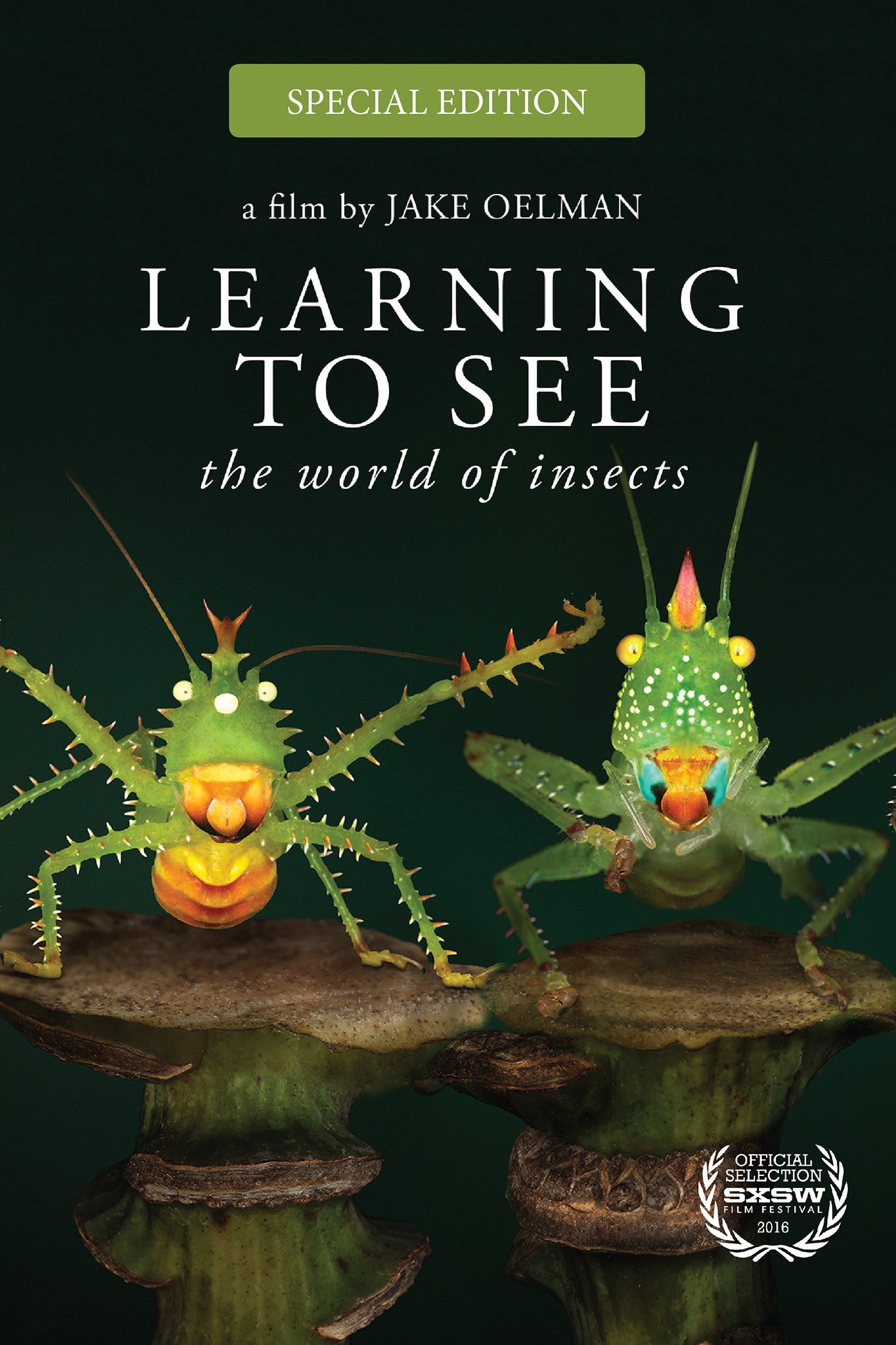 Learning to See: The World of Insects [Blu-ray] cover art