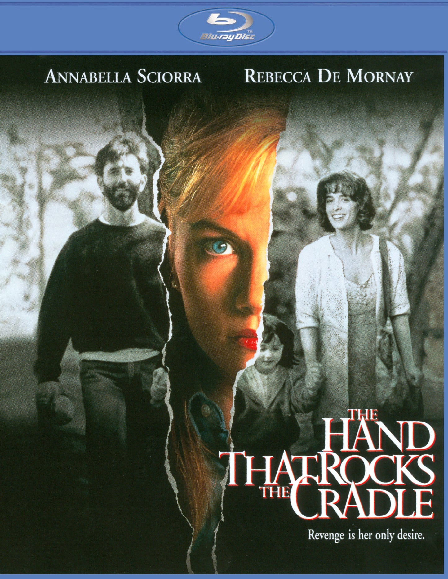 Hand That Rocks the Cradle [20th Anniversary Edition] [Blu-ray] cover art