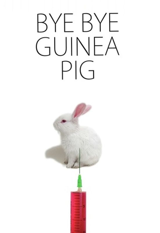 Bye Bye Guinea Pig cover art