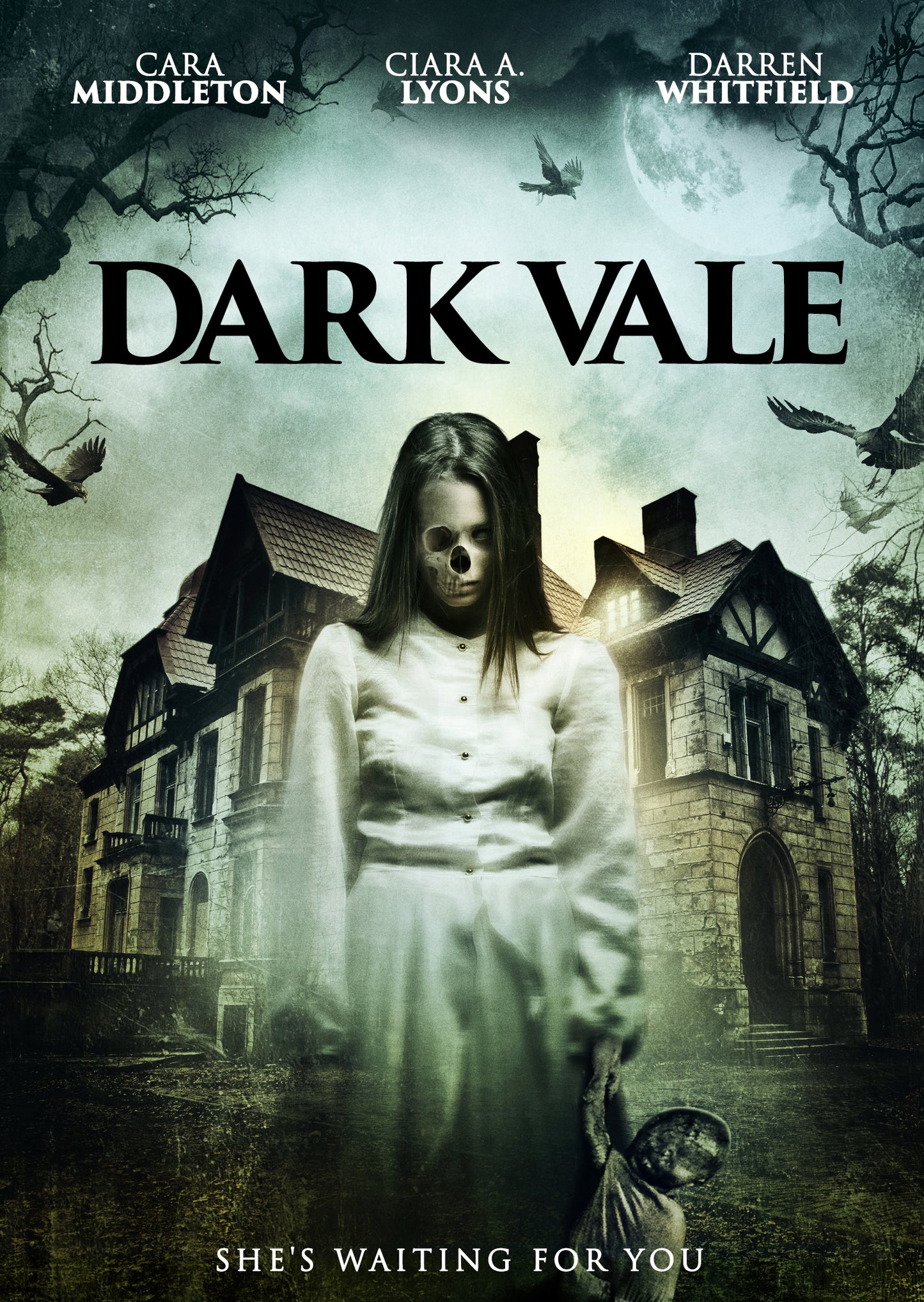 Dark Vale (USA Import) cover art