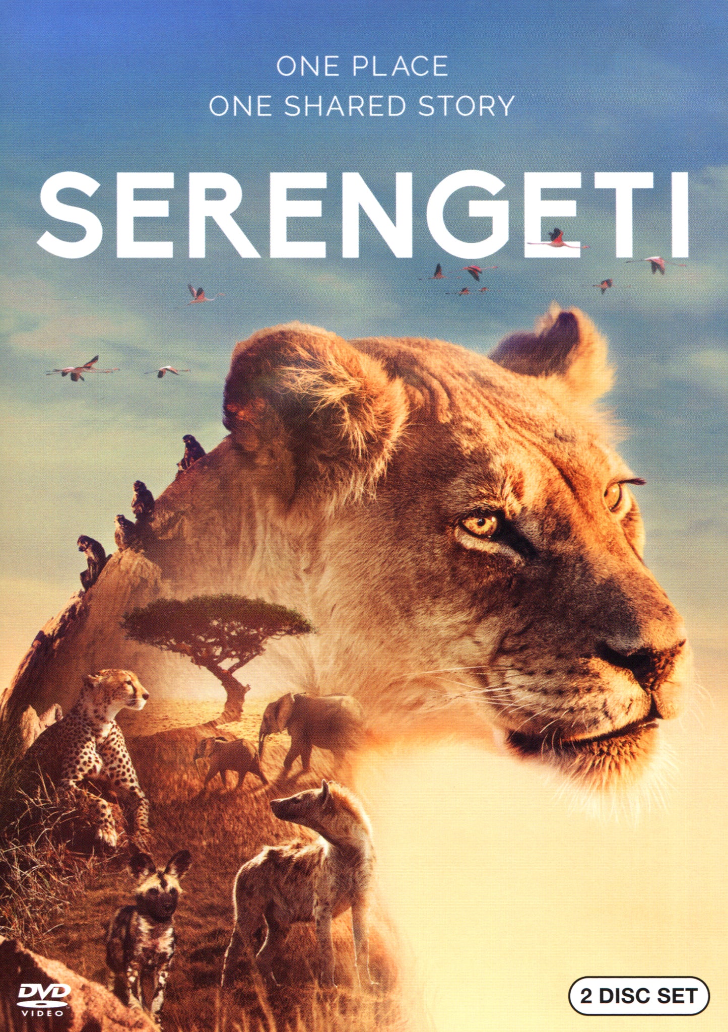 Serengeti cover art