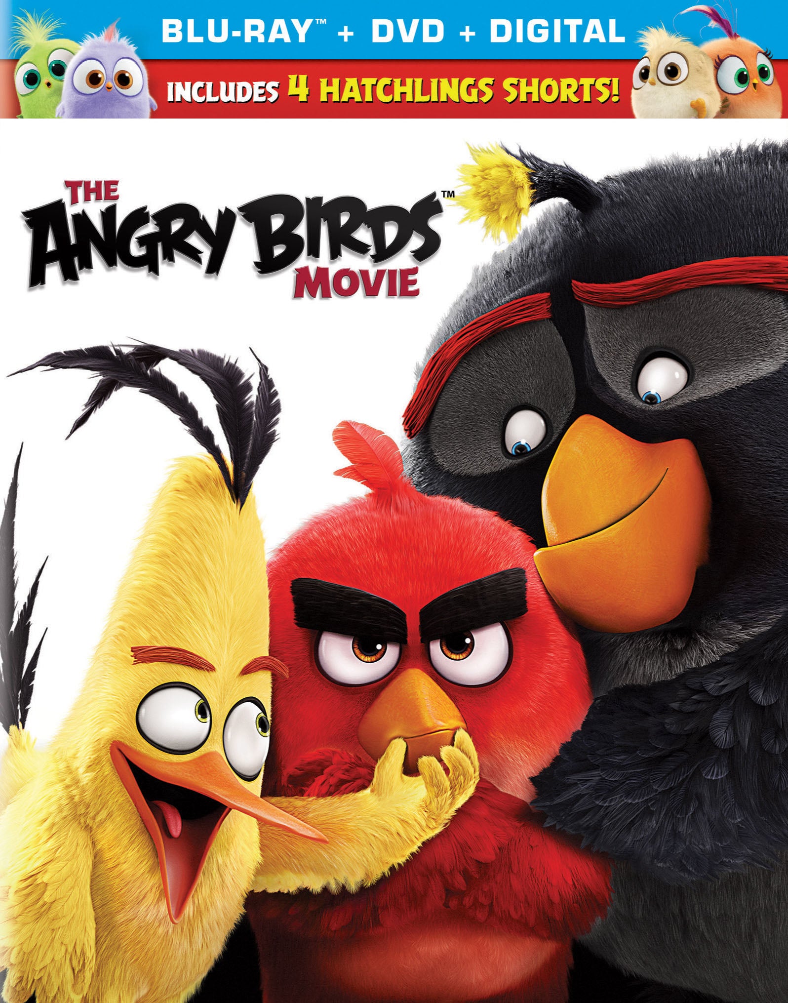 Angry Birds Movie [Includes Digital Copy] [Blu-ray/DVD] cover art