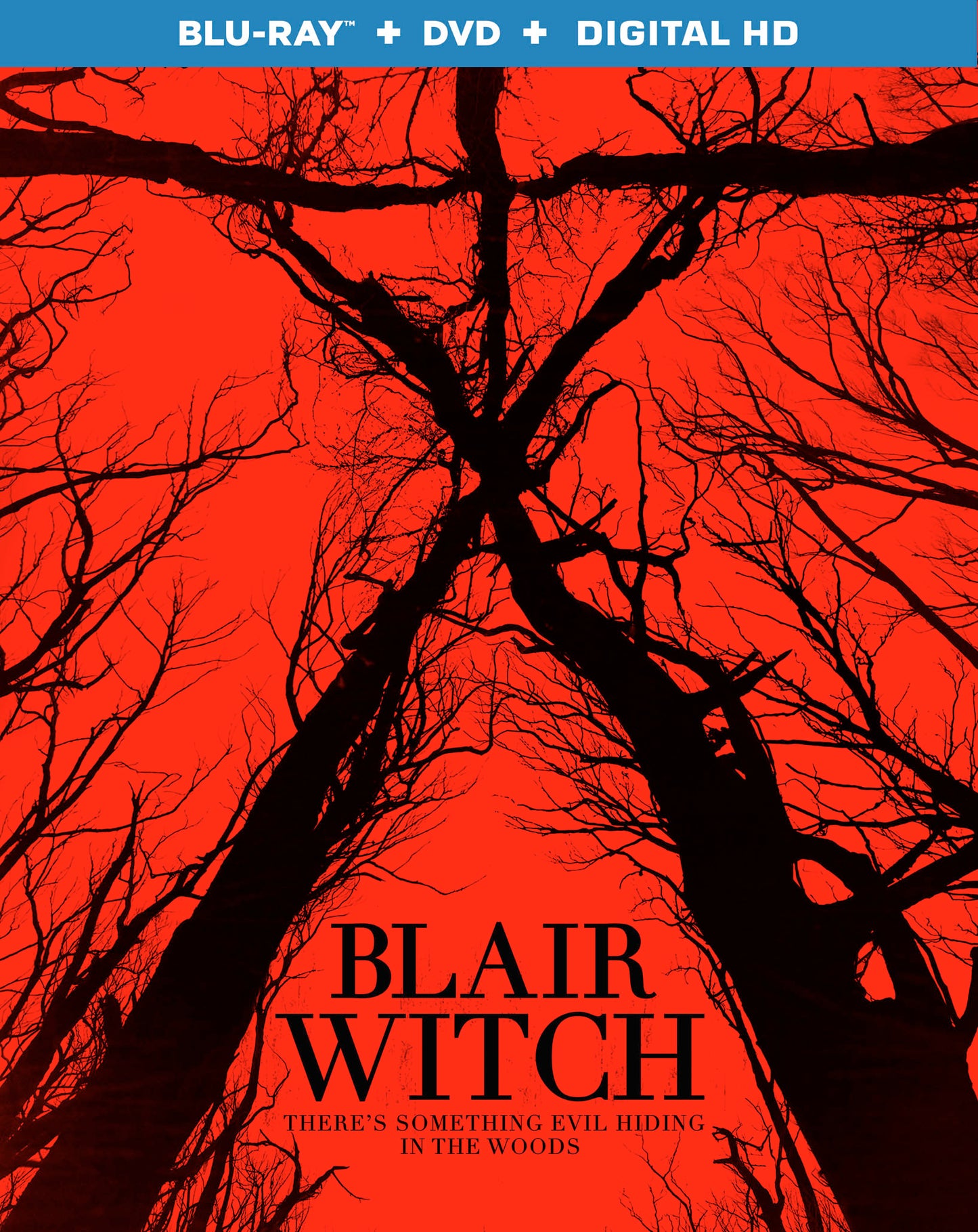 Blair Witch [Blu-ray/DVD] [2 Discs] cover art