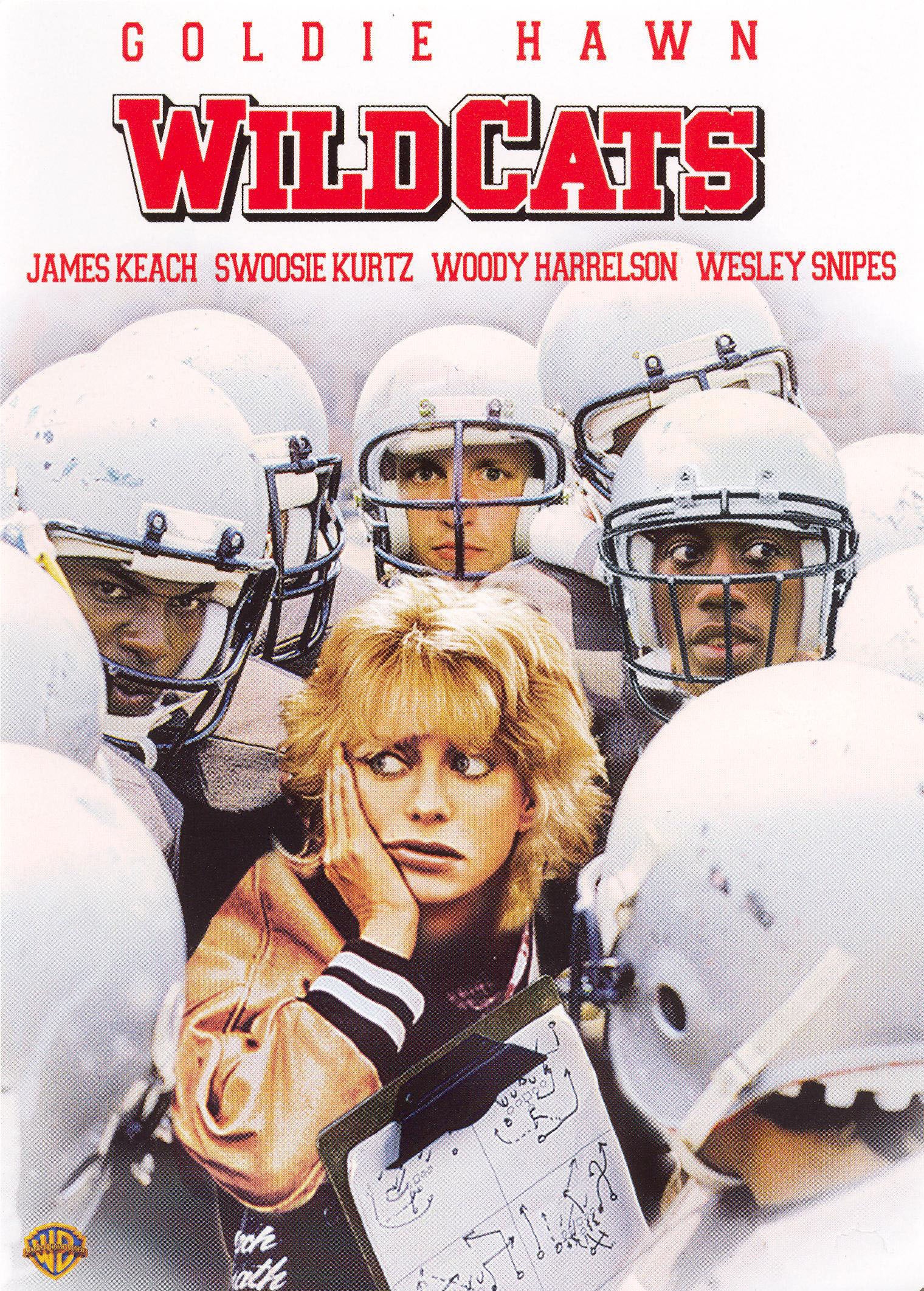Wildcats cover art