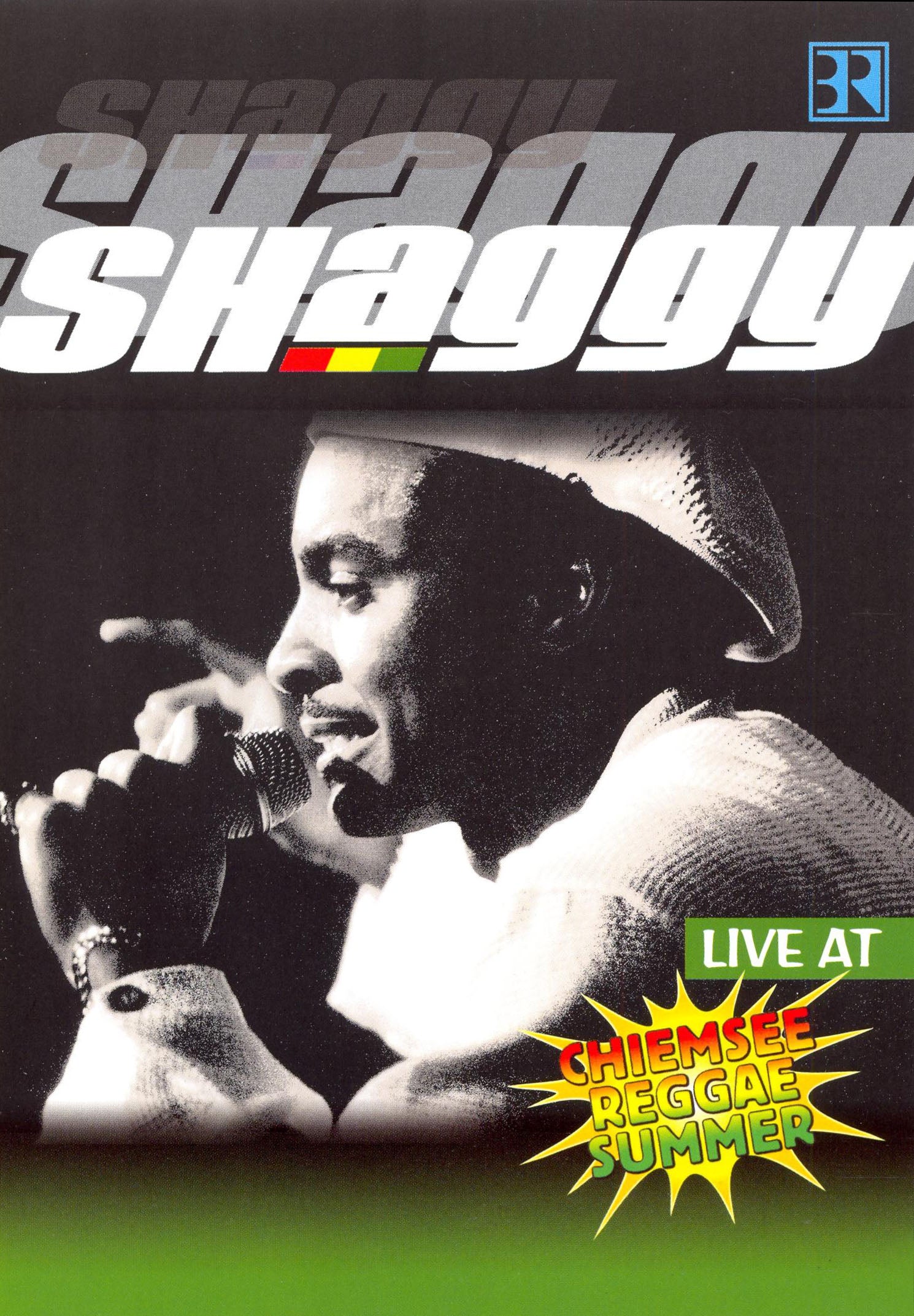 Shaggy: Live at Chiemsee Reggae Summer cover art