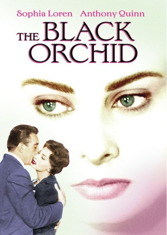 Black Orchid cover art