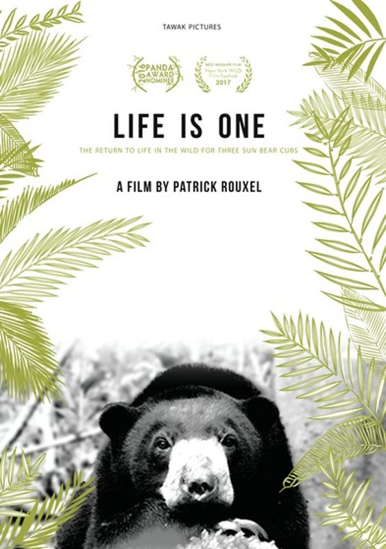 Life is One: The Return to Life in the Wild for 3 Sun Bear Cubs cover art